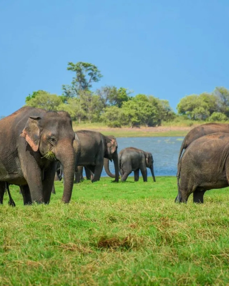 Do Dream Sri Lanka Destinations