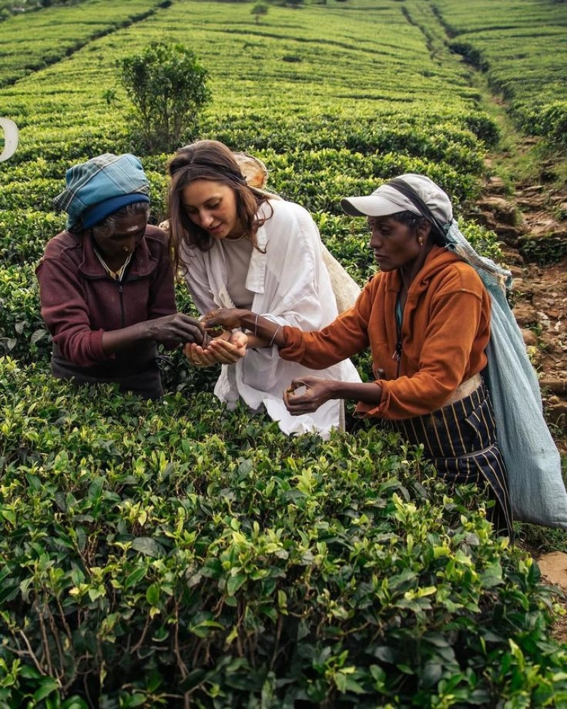 Do Dream Sri Lanka Destinations