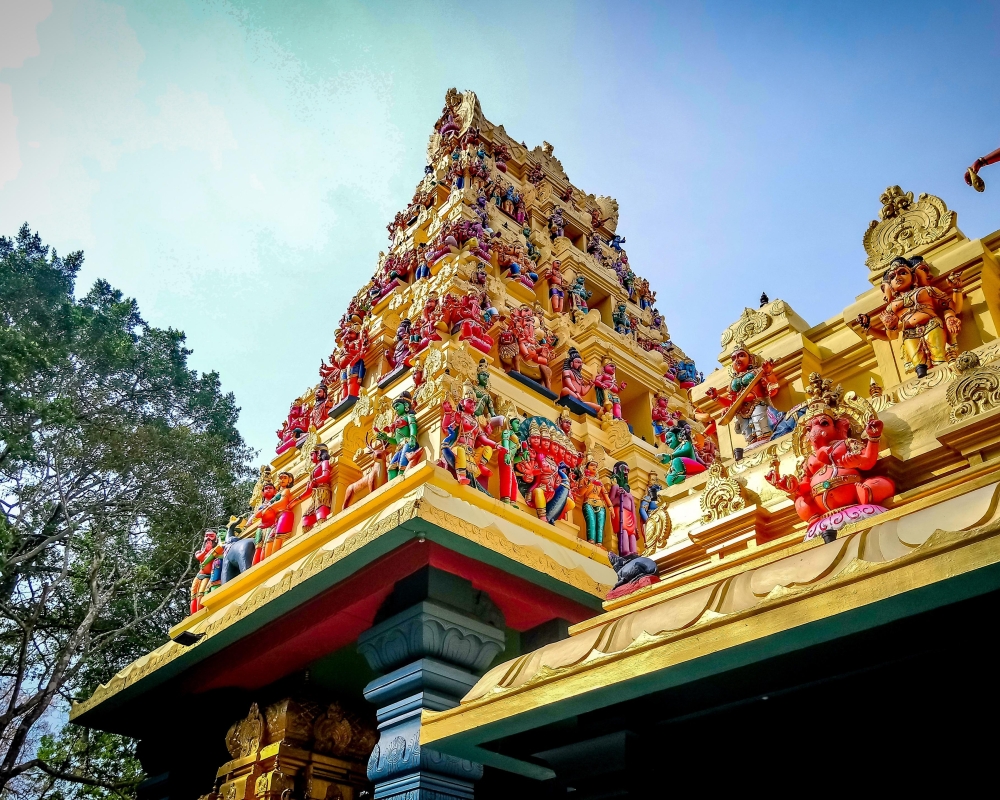 Do Dream Sri Lanka Tour Packages